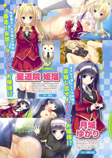 Monthly Megastore 2024-01 Fhentai - Page 13