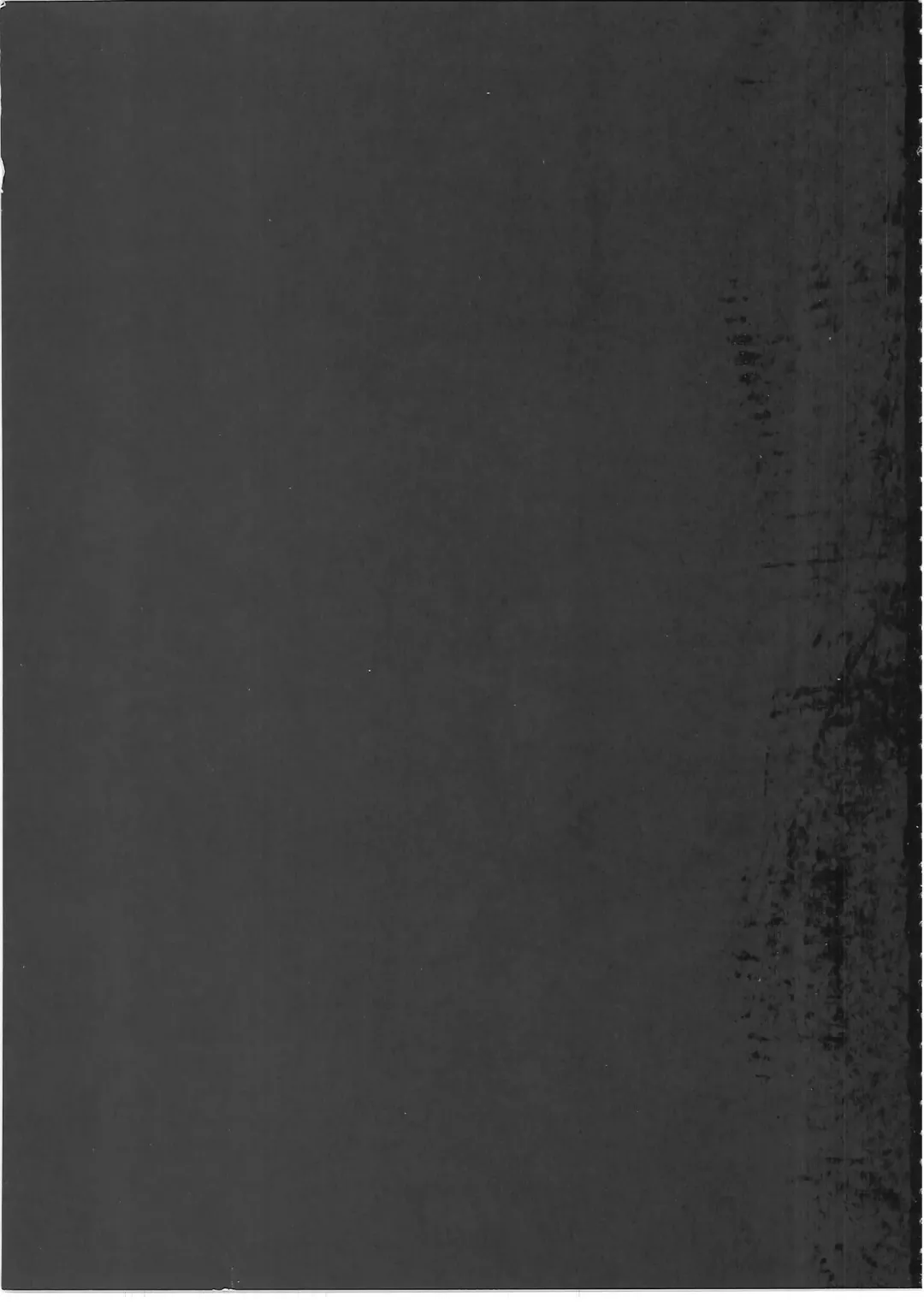 [Blade] Chaldea Paradise (decensored) Fhentai - Page 2