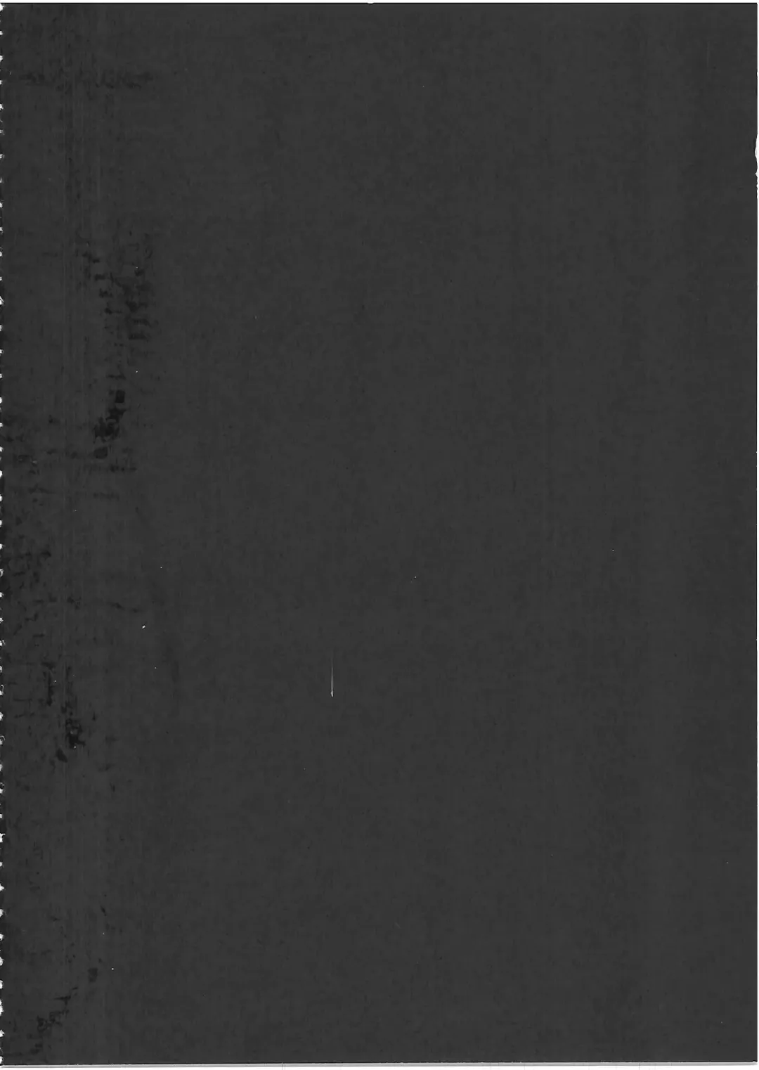 [Blade] Chaldea Paradise (decensored) Fhentai - Page 3