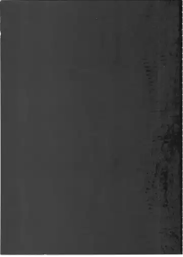 [Blade] Chaldea Paradise (decensored) Fhentai - Page 2