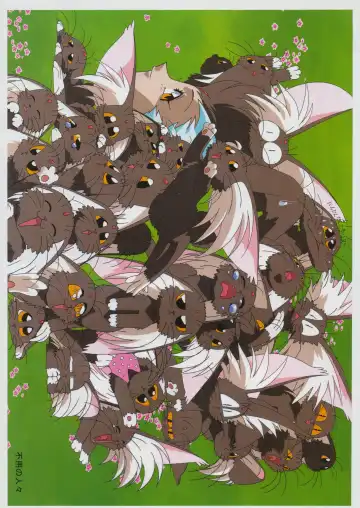 [Kajishima Masaki] Tenchi Souran Fhentai - Page 11