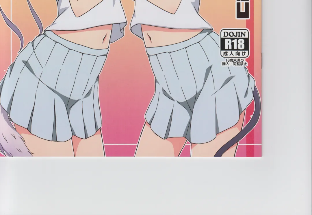 [Mel] Cat Land SAGA 2 Fhentai - Page 18