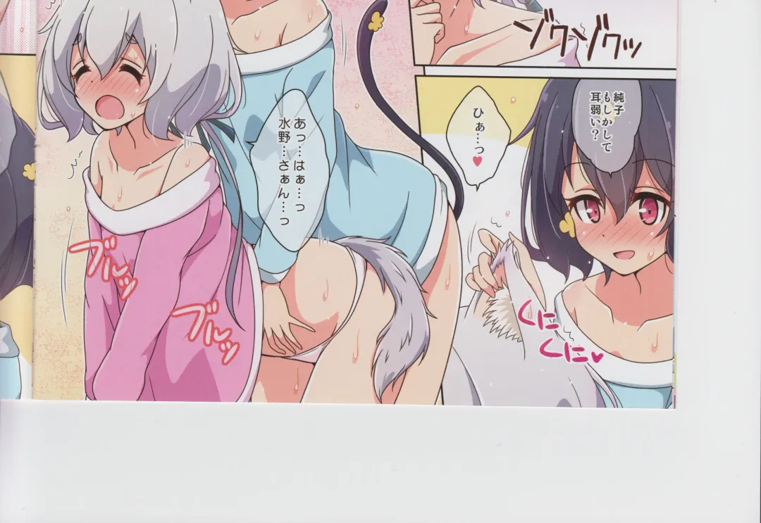 [Mel] Cat Land SAGA 2 Fhentai - Page 30