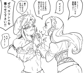 ] Zeru-den matome[The Legend of Zelda) Fhentai - Page 3