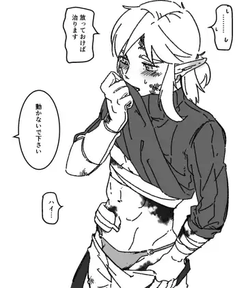 ] Zeru-den matome[The Legend of Zelda) Fhentai - Page 6