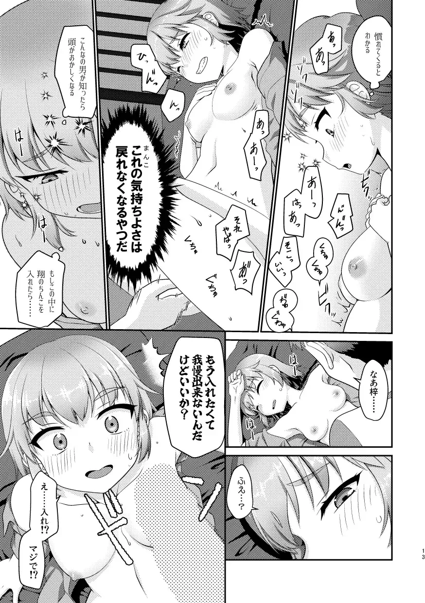 [Fumotono Mikoto] Himenarijima Fhentai - Page 13