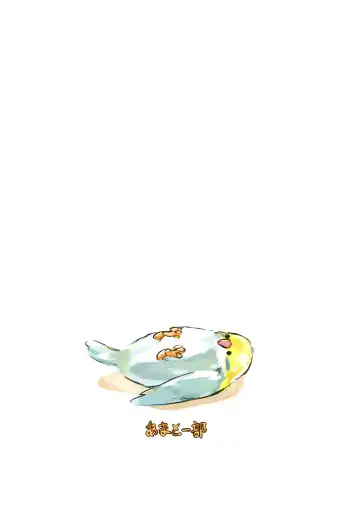 [Seneto] Shiragiku Hotaru no Kore o Mite mo... Kirai ni Naranai de Kudasai... Fhentai - Page 26