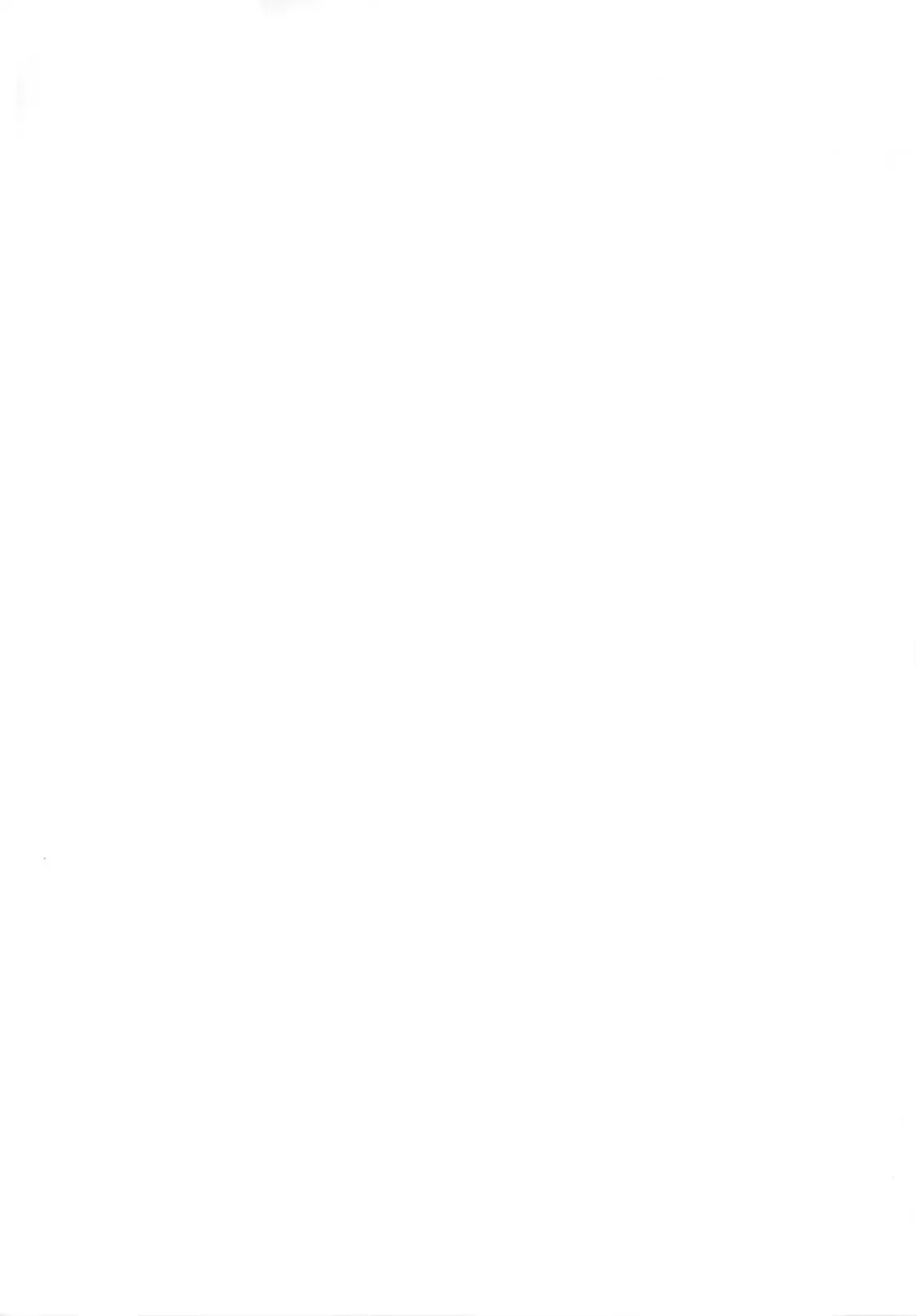 [Sanada Kuro] Maou Prier no Na Nomotoni Fhentai - Page 2