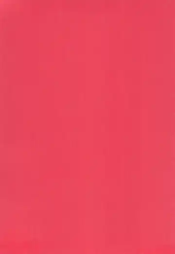 Fool's Party Fhentai - Page 4