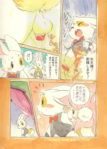 [Yuuga Momiji] Mochi Usagi Ojou to Boku (decensored) Fhentai - Page 11