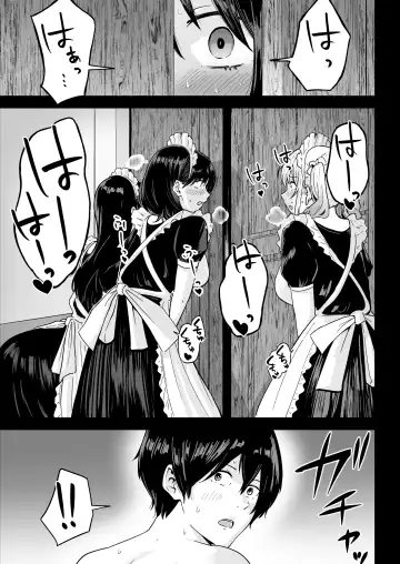 S Rank Idenshi Nintei sareta node, Yuushuu na Kodomo o Tsukurutame Maid ni Nakadashi shite Ninshin sareru Hanashi. Fhentai - Page 36