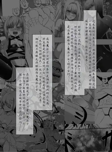 [Uni] Mahou Shoujo VS Shoten Kinbakushi Fhentai - Page 3
