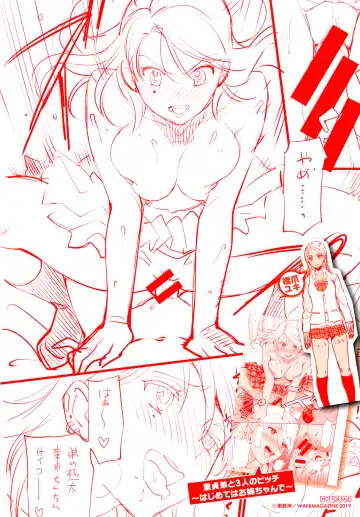 [Azuma Tesshin] Doutei Otouto to Bitch Ane Toranoana Gentei Leaflet GAL'S ROUGH COLLECTION Fhentai - Page 4