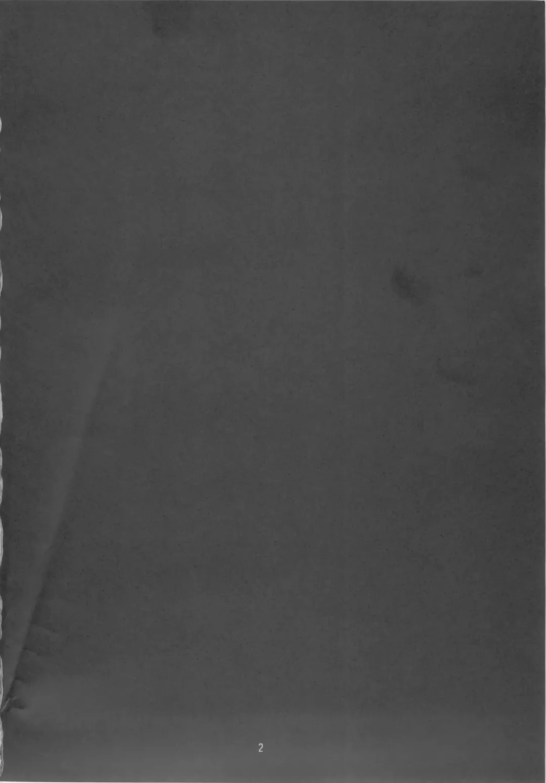 [Sunson] Gekou Chuui Fhentai - Page 4