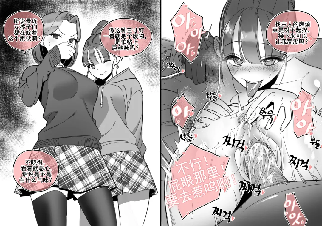 [Luxsumildo] LUXsumildo·使用催眠打造的畸形爱爱（LC整合汉化组） Fhentai - Page 12