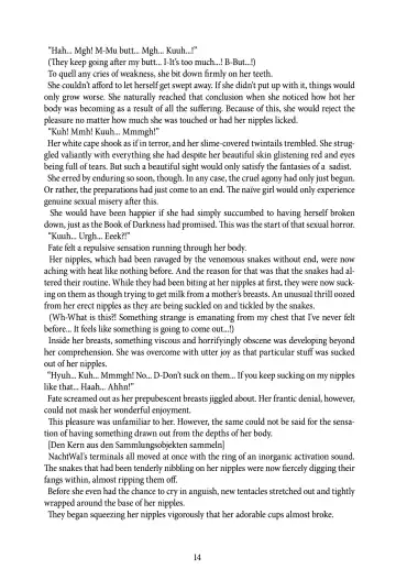 [Rindou] Nacht Gefallene Fhentai - Page 14