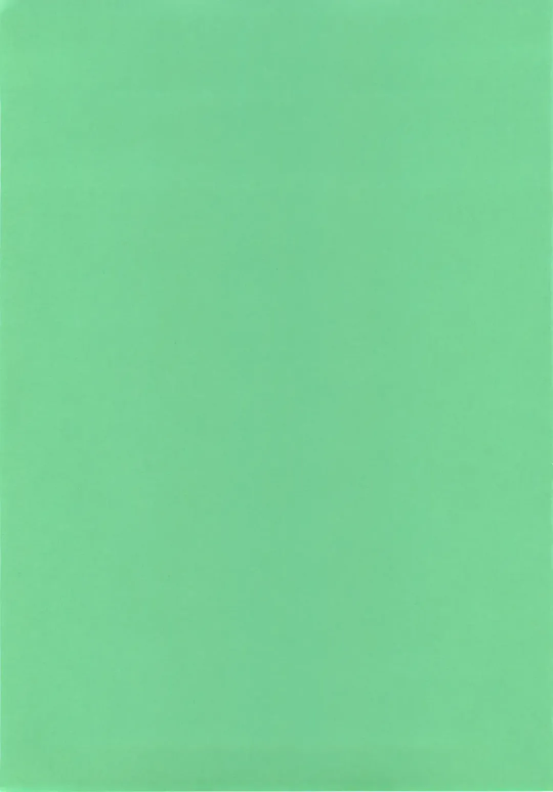 [Ryo] Little Little Princess Fhentai - Page 3