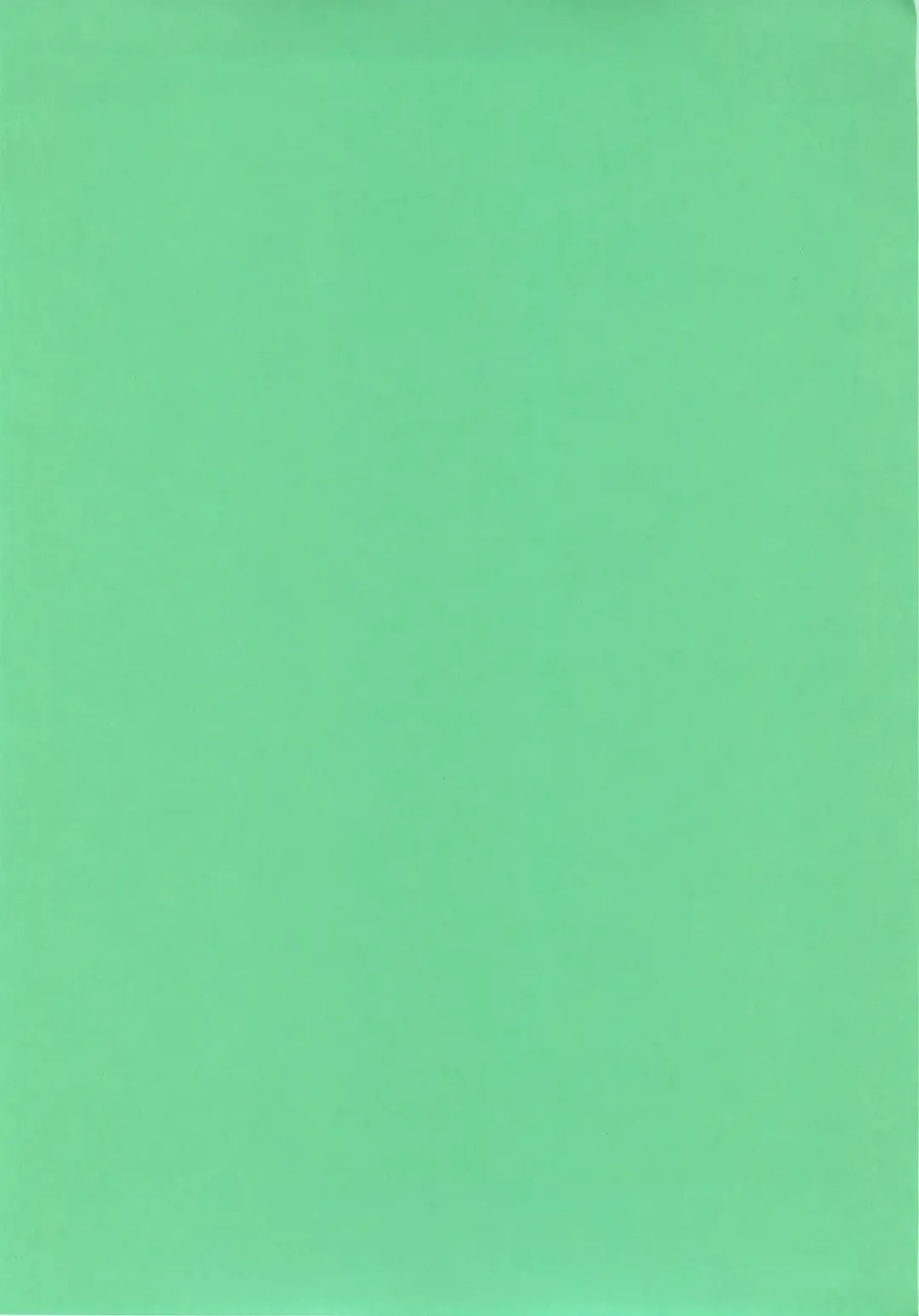 [Ryo] Little Little Princess Fhentai - Page 4