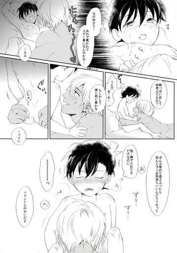 [Ichikani] Conan-kun ga Amuro-san wo YoshiyoShikoshiko Suru Hon Fhentai - Page 20