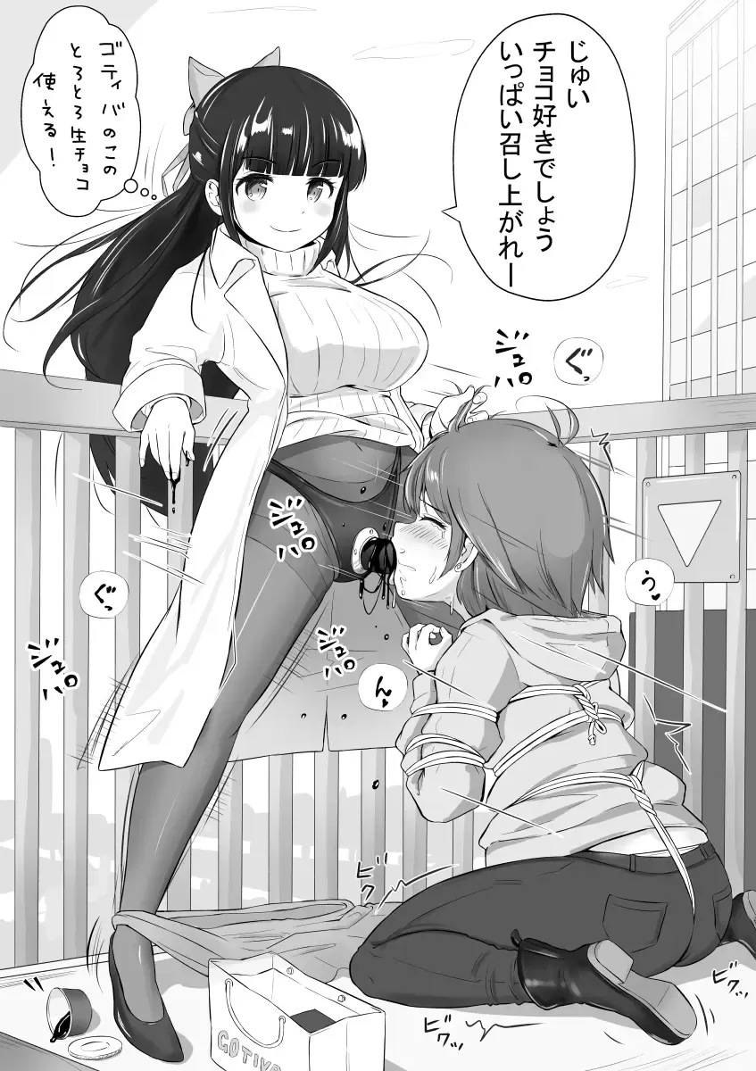 NML COLLECTION Monochrome-1 Fhentai - Page 13