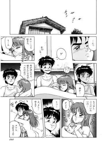 [Norimatsu Satoshi] Bishoujo Ageru Fhentai - Page 112