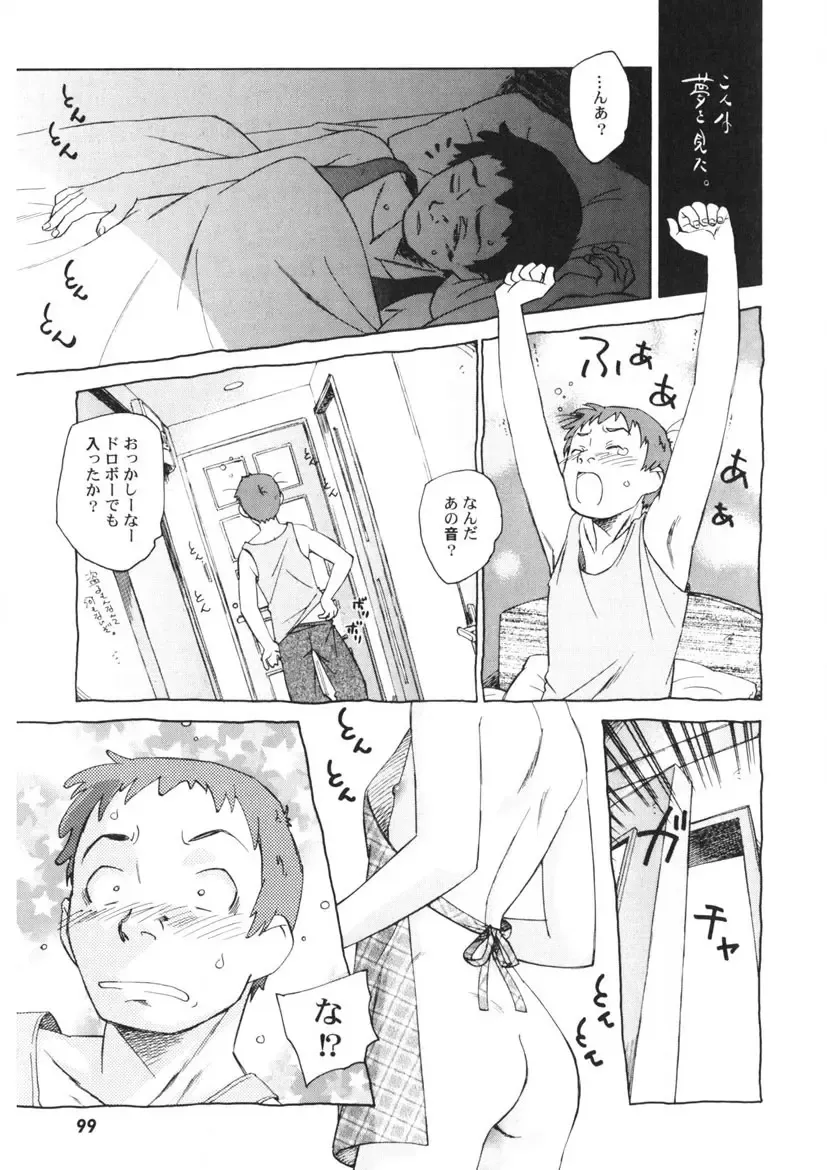 [Unno Hotaru] Ten Nights of Dream Fhentai - Page 100