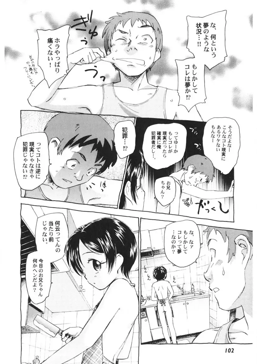 [Unno Hotaru] Ten Nights of Dream Fhentai - Page 103