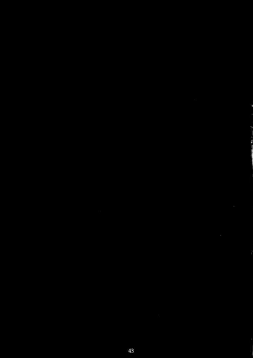 [Carn] Takanashi Shimai no Junan II - saimin sisters Fhentai - Page 45