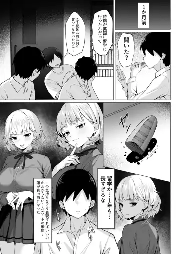 Ore no Joukyou Seiseikatsu 19 "Shizuru Ninshin Kouhen" Fhentai - Page 4