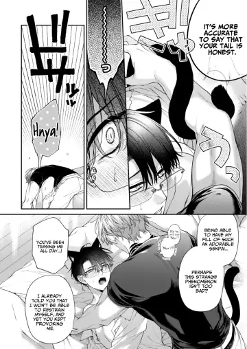 [Kirishiki Tokico] Shito Ame Wan Nyan -Zen Sekai no Sub ni Totsuzen Kemomimi ga Haeru Ijougenshou Parallel Hon- Fhentai - Page 16