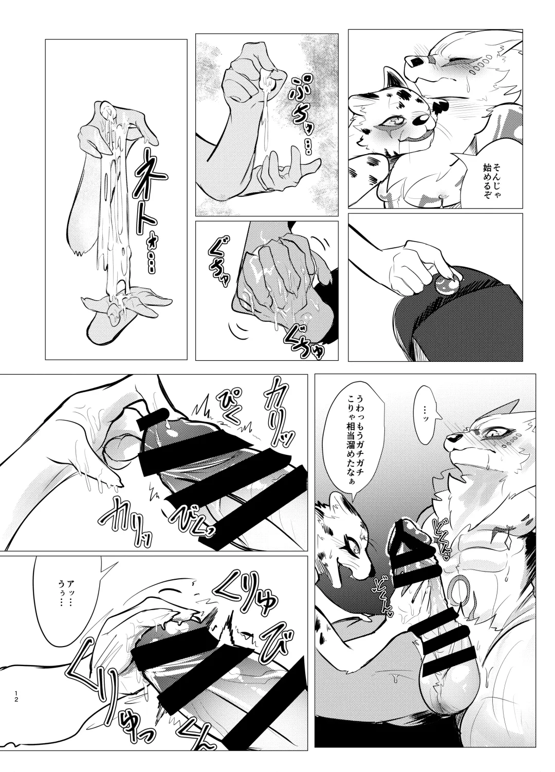 [Felta] Seijū No Gi Fhentai - Page 12