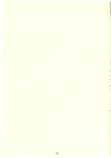 Mikakunin de  Mousou kei Fhentai - Page 17