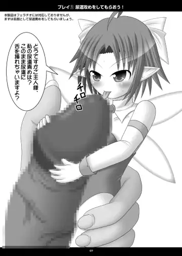 [Fukami] Onaho Yousei Toriatsukai Setsumei-sho Fhentai - Page 6