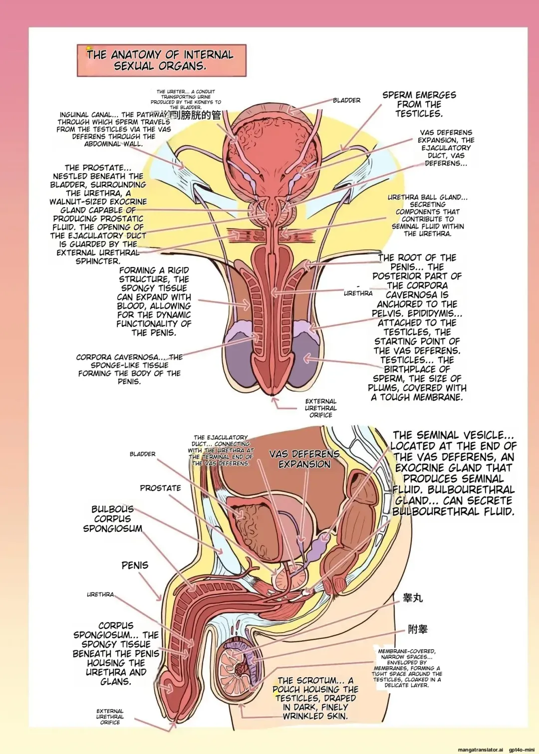 [Alexi Laiho] Maid-san to Manabu Onnanoko no Karada Fhentai - Page 26