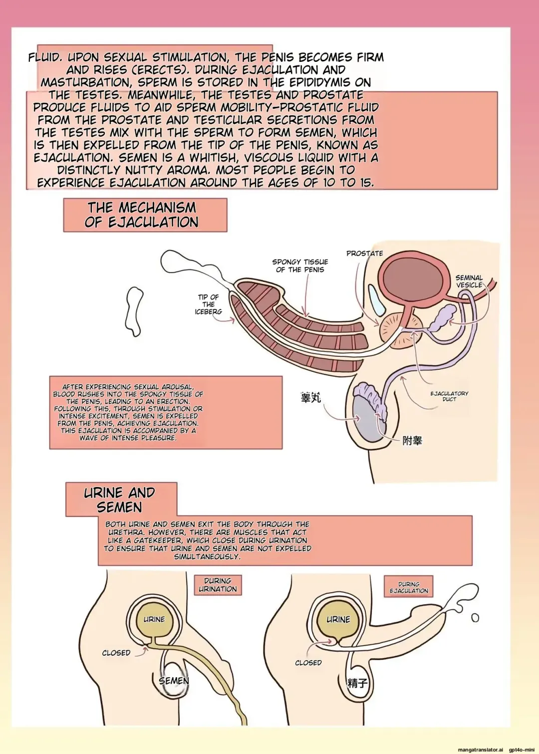 [Alexi Laiho] Maid-san to Manabu Onnanoko no Karada Fhentai - Page 27