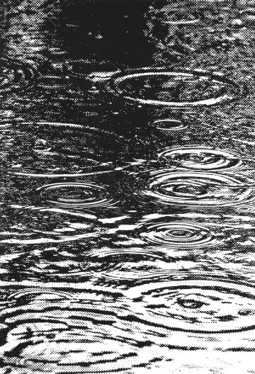 [Umino Sachi] Kyonyuu Jukujo to Koumon Seikou Fhentai - Page 53