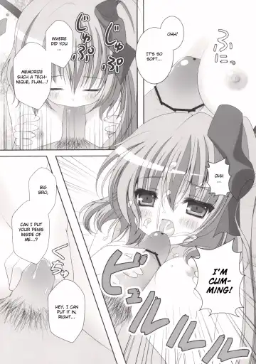 [Kino] Gomen ne Flandre-chan Fhentai - Page 13