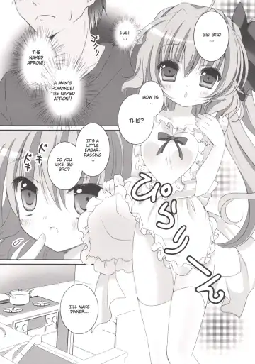 [Kino] Gomen ne Flandre-chan Fhentai - Page 6