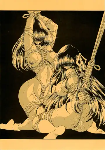 [Horikawa Gorou] Niku no Rakuin Gekan Fhentai - Page 3