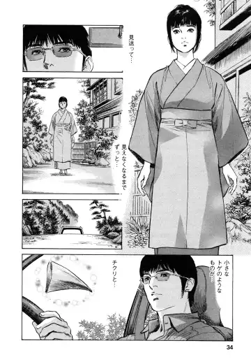 [Hazuki Kaoru - Tomisawa Chinatsu] My Pure Lady Vol.9 Fhentai - Page 35