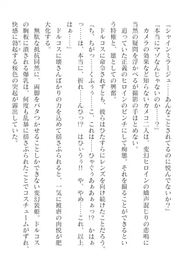 [Takahama Tarou] Hengen Souki Shine Mirage Kanbina Bouryoku ni Ochiru Seigi Fhentai - Page 30