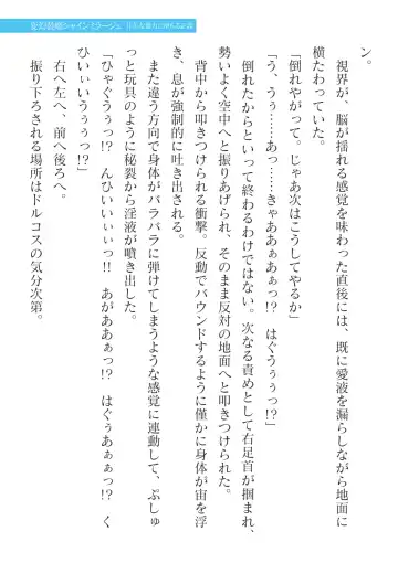 [Takahama Tarou] Hengen Souki Shine Mirage Kanbina Bouryoku ni Ochiru Seigi Fhentai - Page 41