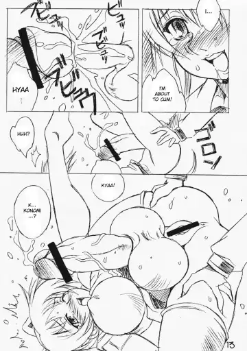 [Yaeda Nagumo] Futanari Ouja Tamaking 3 Fhentai - Page 12