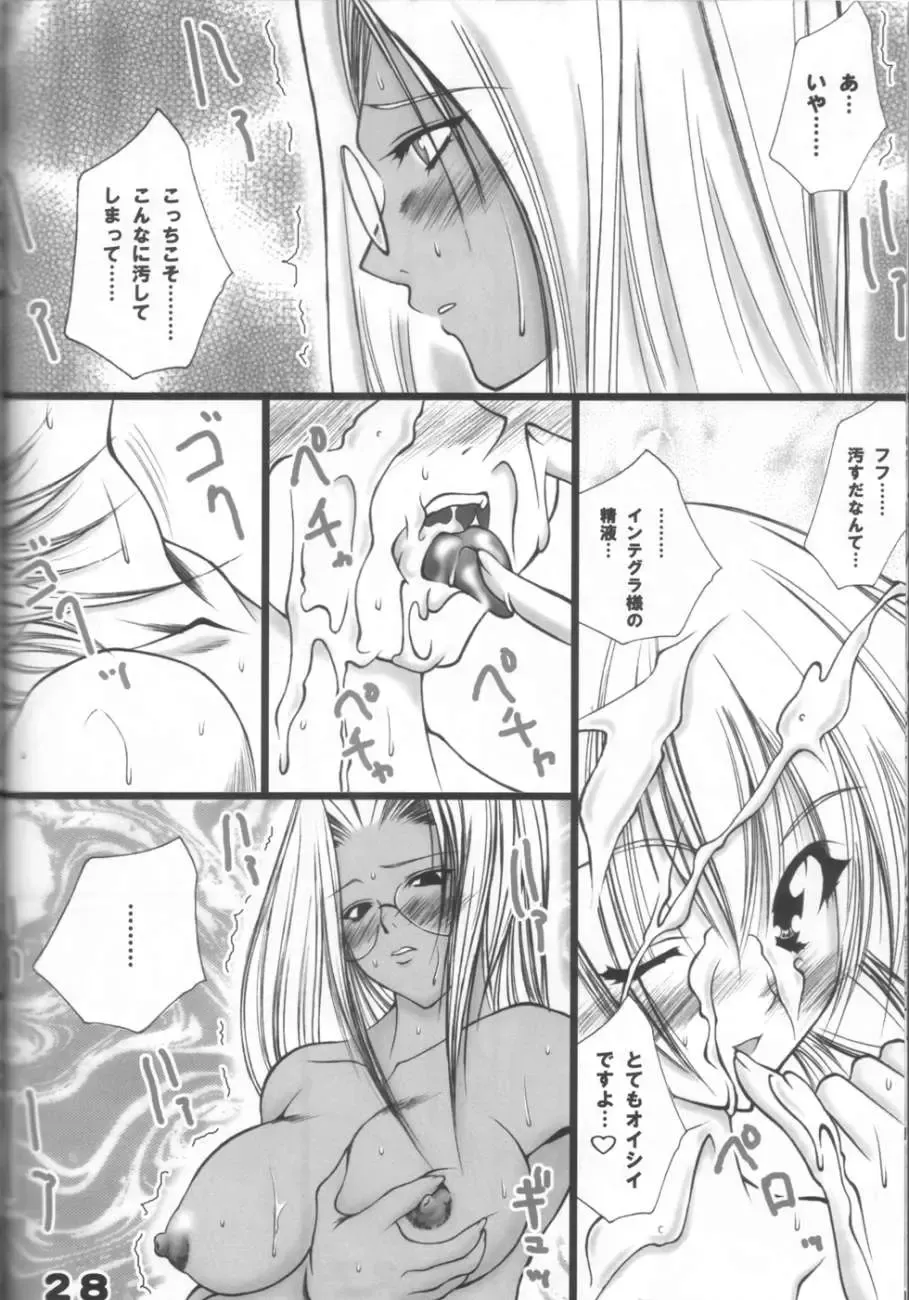 Hellsing Fhentai - Page 27