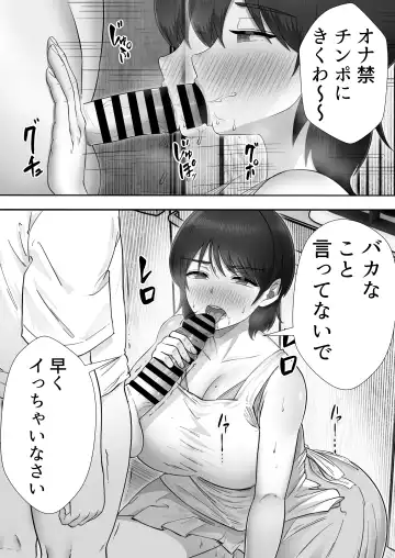 DeliHeal Kaa-chan 3 ~Daisukina Kaa-chan to Yari Makuri Handousei Sei Katsu~ Fhentai - Page 12