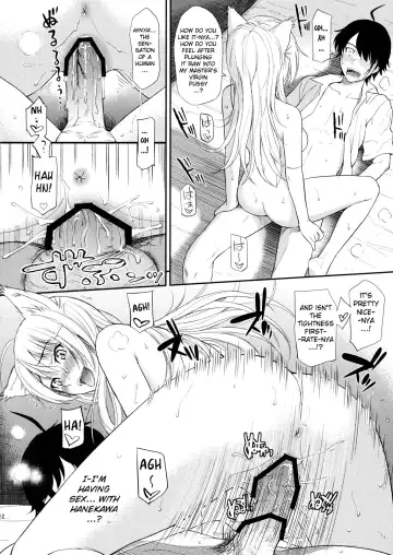 [Homunculus] Bakenekogatari Fhentai - Page 12
