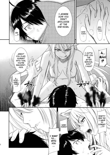 [Homunculus] Bakenekogatari Fhentai - Page 22
