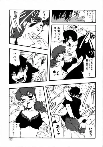 Kinshin Paradise (decensored) Fhentai - Page 102