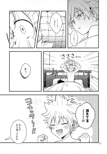 [Syaka-syaka-riki] Rabirabi Shoukougun Fhentai - Page 37