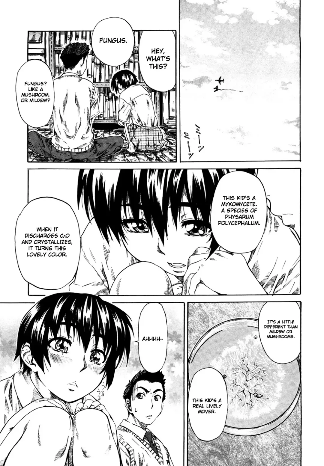 [Maruta] Kanojo ga Kimi o Suki ni Natta Wake - She is a favorite reason as for the lover. Fhentai - Page 50